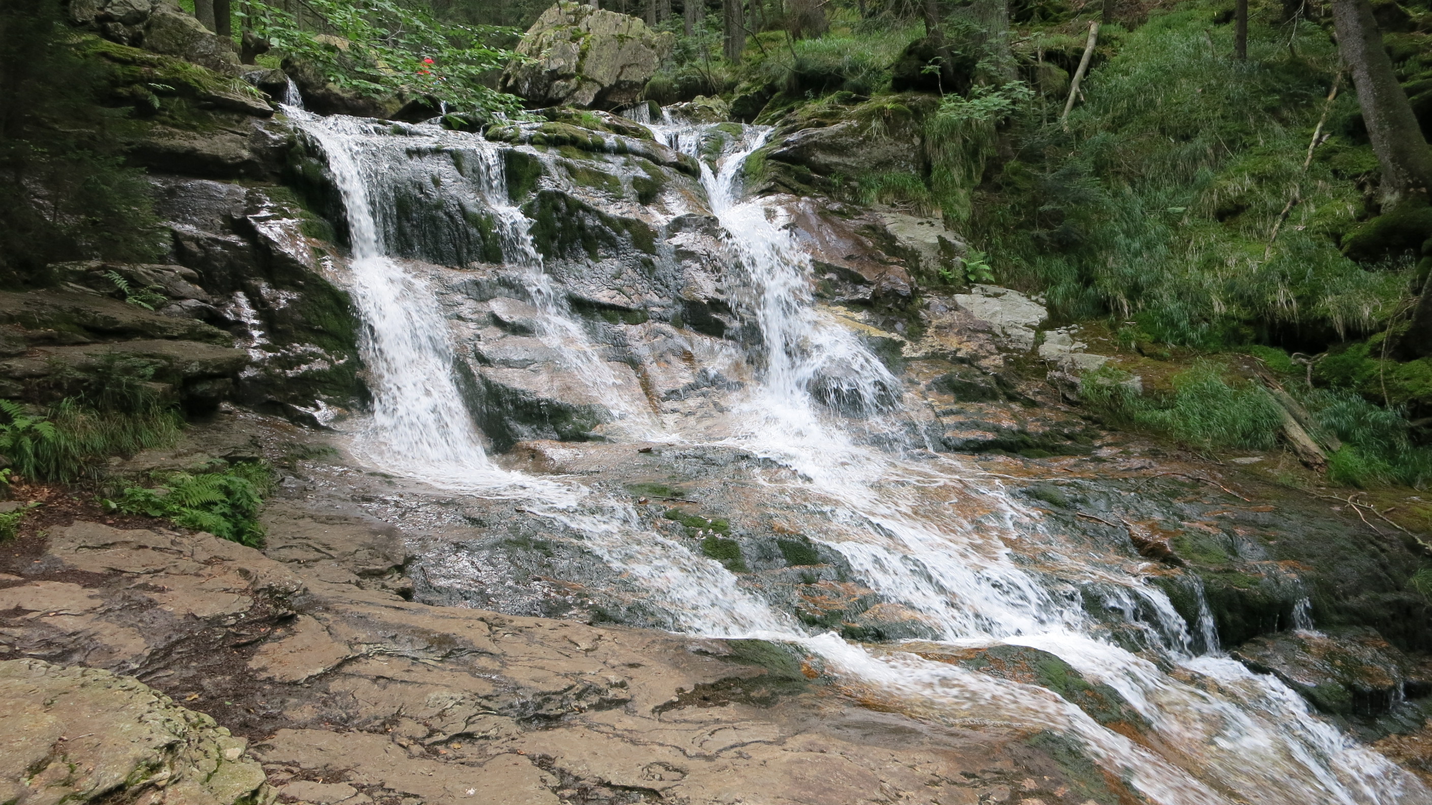 Buchberger Leite im Bayerischen Wald